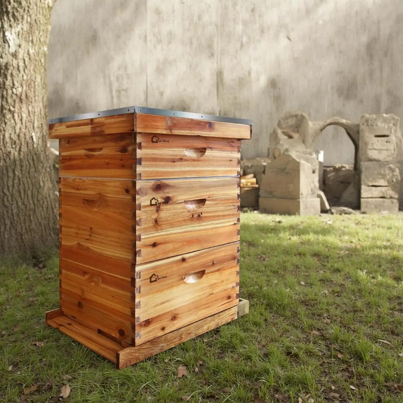 Beehive Frame Wax - 10-Rahmen Komplettes Bienenstock-Set, Wachsbeschichtete Bienenstöcke für