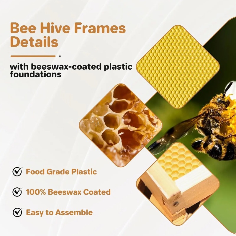 10-Rahmen Komplettes Bienensto – Beehive Frame Wax Bewertung und Preis
