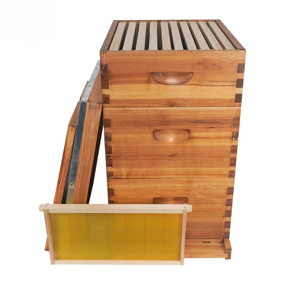 Kompletter 3-lagiger, mit Wach – Beehive Frame Wax Bewertung und Preis